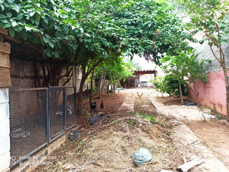 S�o Paulo - Santa B�rbara D'Oeste, Jardim Santa Alice , �rea ou Lote Urbano, (Venda)